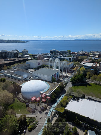 Views from the Space Needle