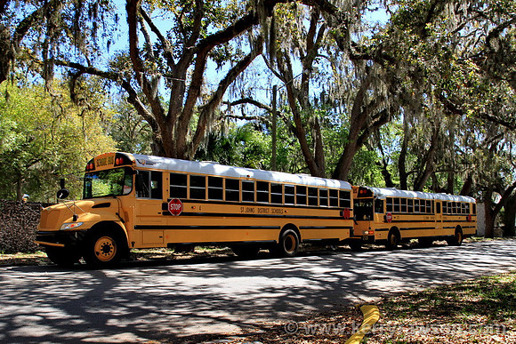 Can't resist the school bus shot
