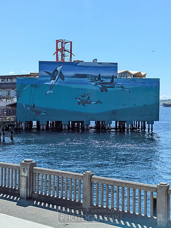 Art work on the pier