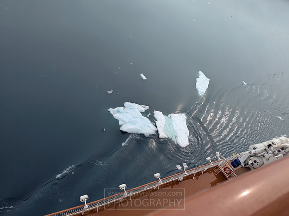 Yes that really is ice floating passed the ship