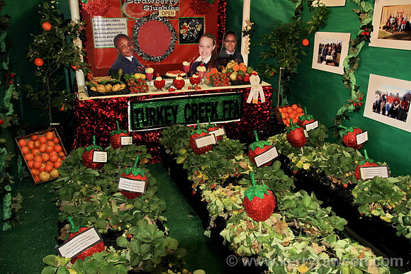 Some nice displays by local school children