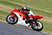 Daytona: Races