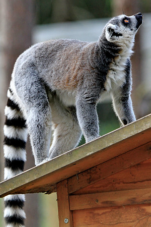 Shall I come up or are you coming down