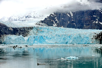 Glacier Bay & Hoonah, Alaska, April 2025