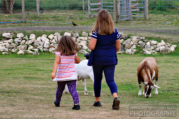 The sisters explore the goat petting area