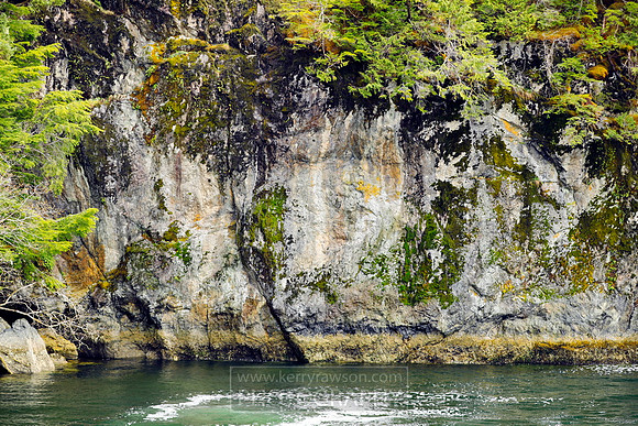 Time for a wildlife boat tour of Sitka