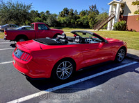 Mustangs, Linda, Food, WJRR, cigars and other stuff