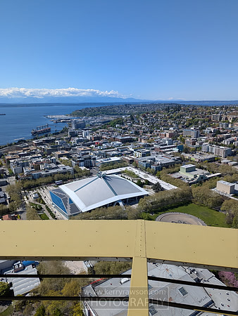 Views from the Space Needle