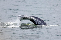 Sitka, Alaska, April 2025