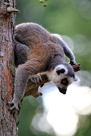 Hey who's down there