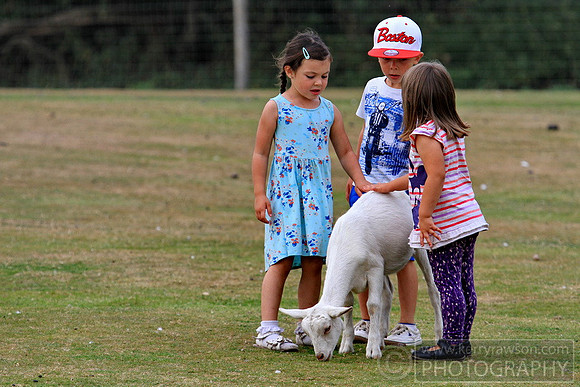 (please respect this site's copyright & contact me for images via kerry.rawson@gmail.com)