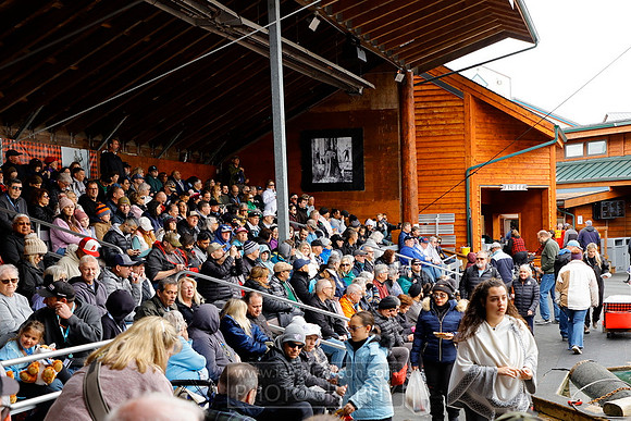 Packed in ready for the Alaskan lumberjack show