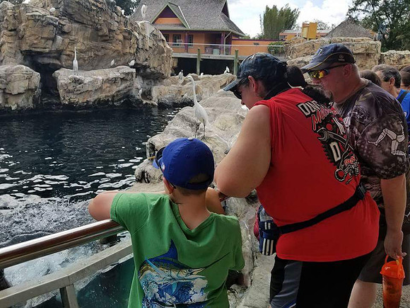 Time to cool off with the penguins