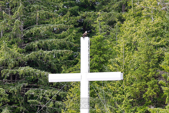 The thank-you note to God, complete with its own bald eagle