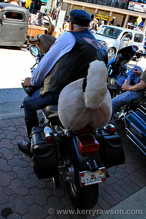 Does my bum look big in this