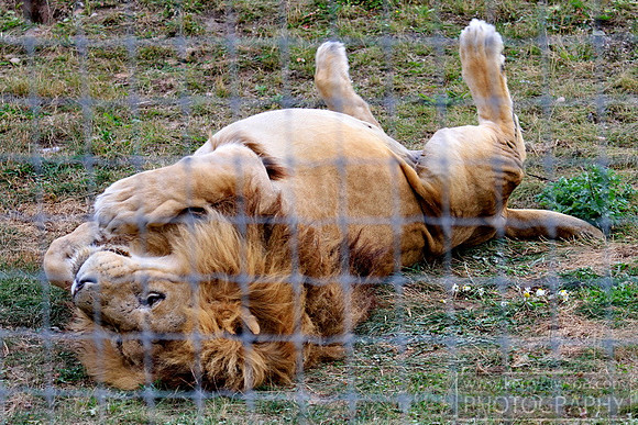 Chilled out or what