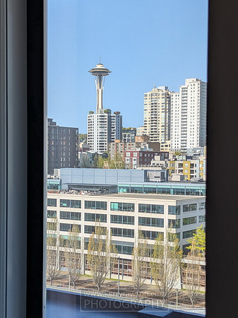 Spotted the needle again