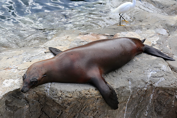 It's an exhausting life