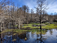 Florida, USA - March 2019