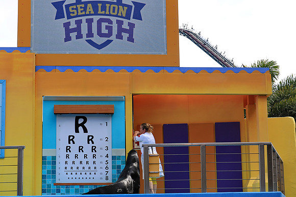 Eye test time