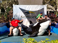 Florida 2018 - Sea World