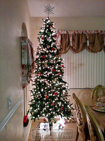 We found the tree