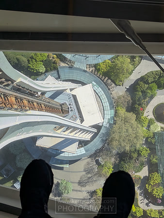 Space needle observation floor wasn't for the faint hearted