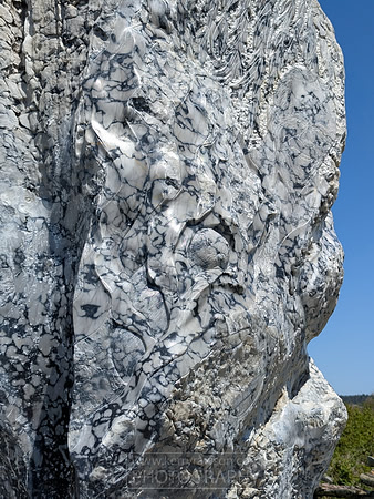 Find the carvings